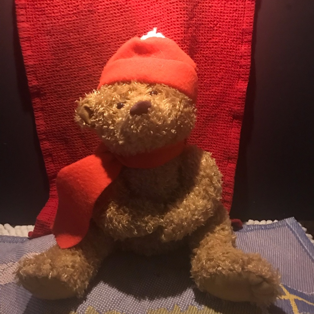 American Greetings Bear Puppet plushie